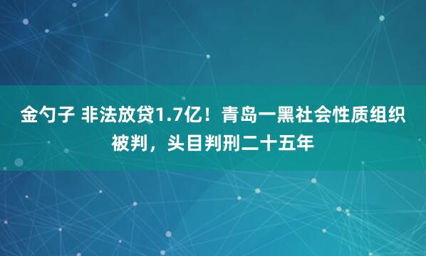 金勺子 非法放贷1.7亿！青岛一黑社会性质组织被判，头目判刑二十五年